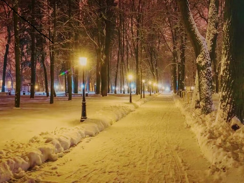 春夜飄雪.jpg