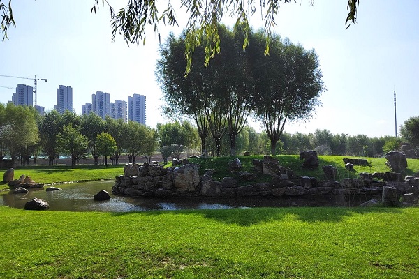 這個(gè)夏天榆林最美的風(fēng)景3.jpg