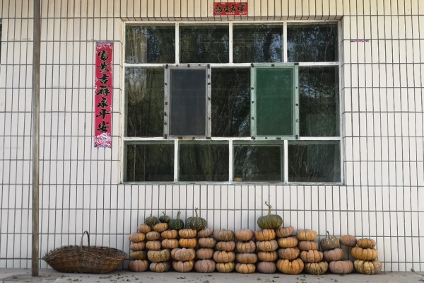 我的外公外婆.jpg