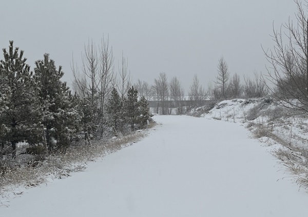 村雪.jpg