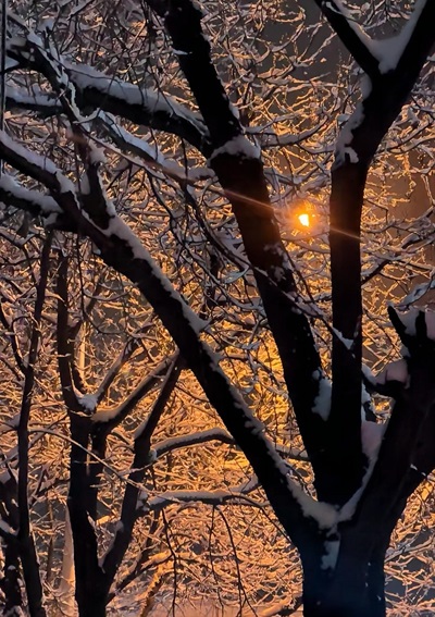 稿件 初雪.jpg