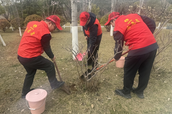 植樹.JPG