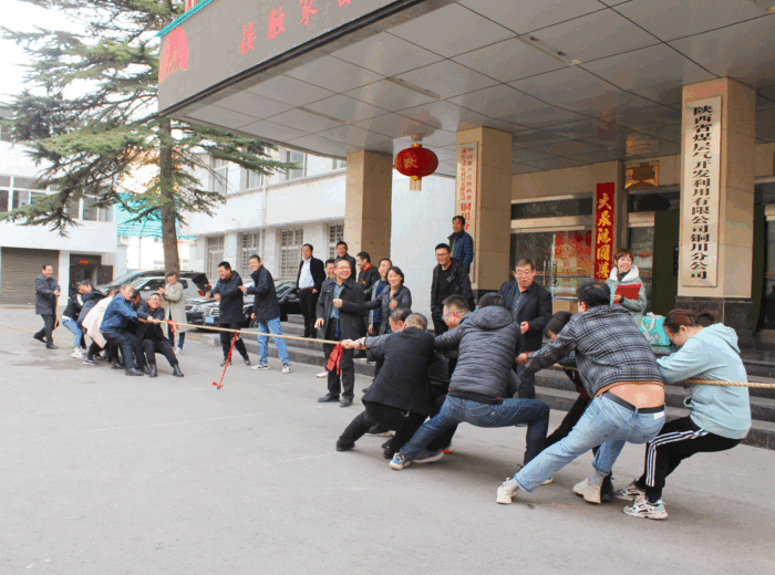 銅川分公司舉辦職工拔河比賽.gif